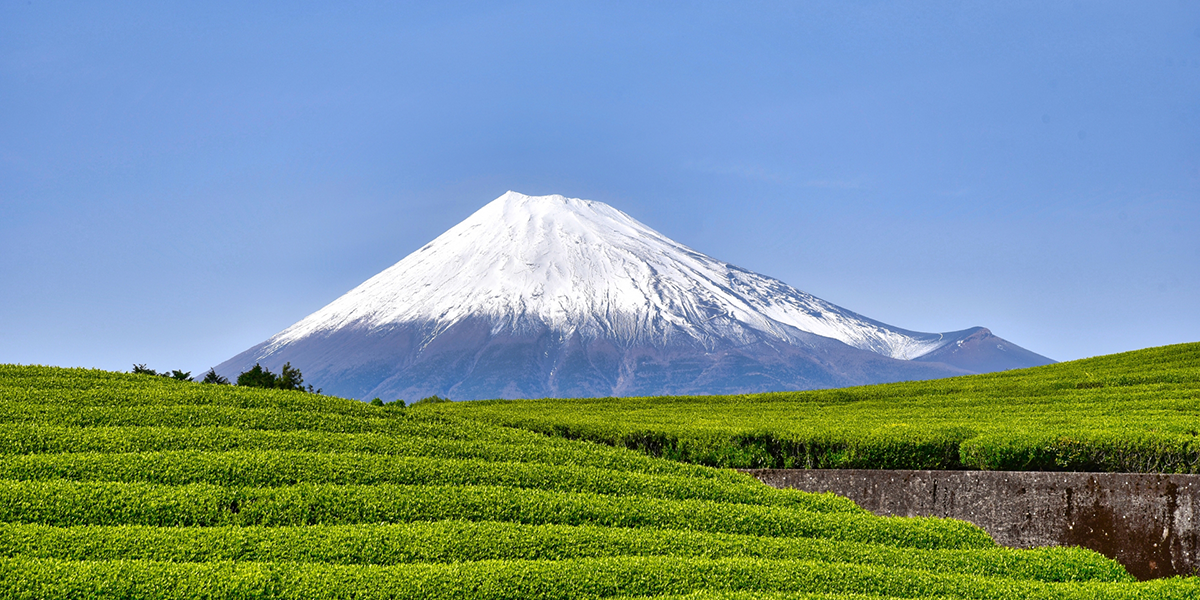 静岡